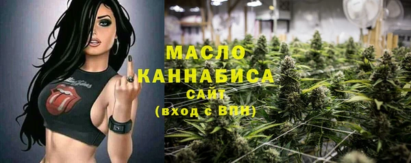 скорость Ельня
