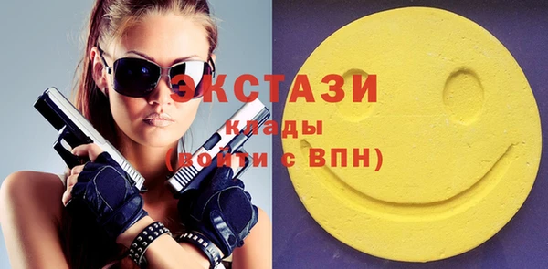 скорость Ельня