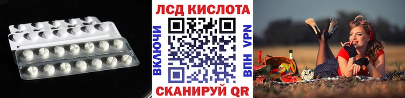 Купить закладки  Суджа  ЛСД экстази ecstasy 